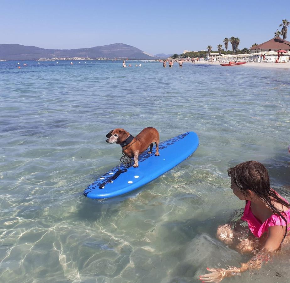 Alghero Lido Monolocale Διαμέρισμα Εξωτερικό φωτογραφία